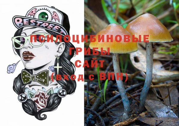 винт Алзамай