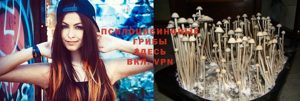 винт Алзамай