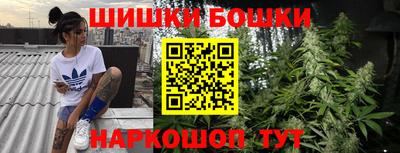 молекула духа Заводоуковск