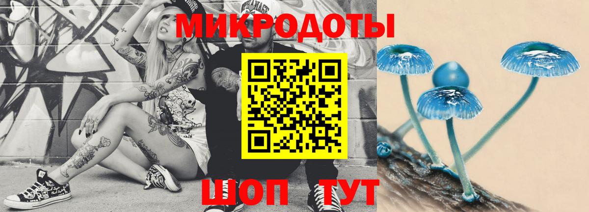 Галлюциногенные грибы Psilocybine cubensis  Вход с VPN  Люберцы 